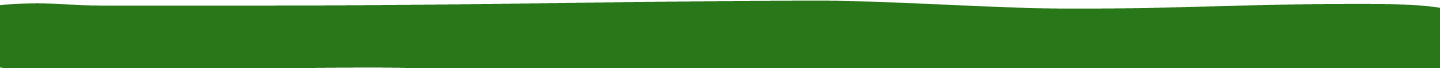 img-vector